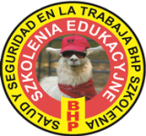 Salud y Seguridad en la Trabaja - Platforma e-learningowa.